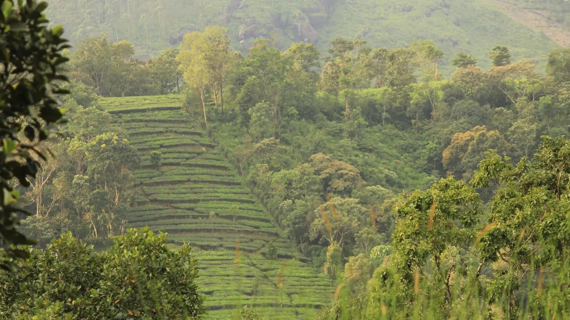 Holiday home Oakwood Oasis Home Stay, Vagamon